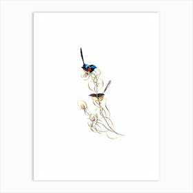 Vintage Graceful Wren Bird Illustration on Pure White n.0306 Art Print