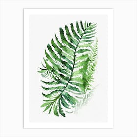 Lace Fern Watercolour Art Print