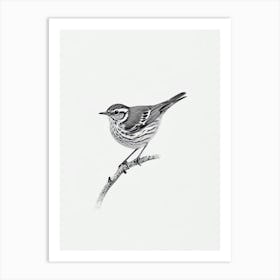 Hermit Thrush B&W Pencil Drawing 4 Bird Art Print