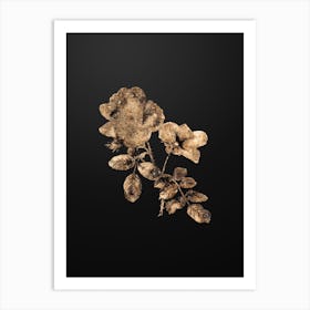 Gold Botanical Sweetbriar Rose on Wrought Iron Black n.4716 Art Print