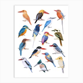 Kingfisher Birds Blue & Orange Art Print