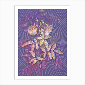 Geometric Hudson Rose Mosaic Botanical Art on Veri Peri n.0095 Art Print