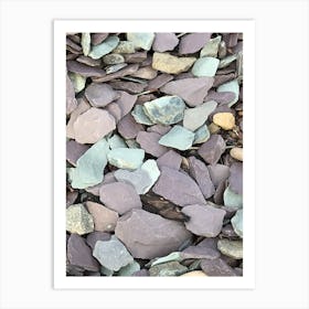 Beach pebbles Art Print