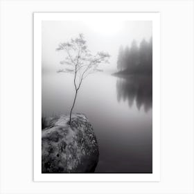 Lone Tree In Fog Art Print