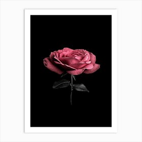 Black Rose 16 Art Print