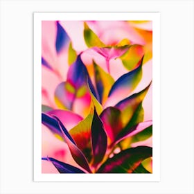 Angel Wing Begonia Colourful Illustration Art Print