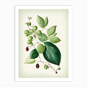 Snowberry Leaf Vintage Botanical 4 Art Print