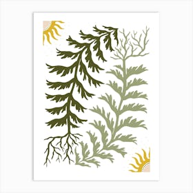 Ferns And LeavesBoho Art Deco Drawing Illustration Affiche