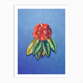 Vintage Rhododendron Rollissonii Botanical Art on Blue Perennial n.1318 Art Print