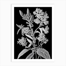 Milkweed Wildflower Linocut 1 Art Print