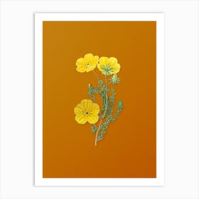 Vintage Long Stalked Ledocarpum Botanical on Sunset Orange n.0546 Art Print