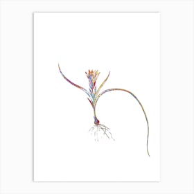 Stained Glass Ixia Recurva Mosaic Botanical Illustration on White Art Print