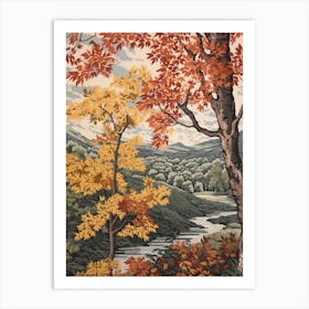 River Birch 3 Vintage Autumn Tree Print  Art Print