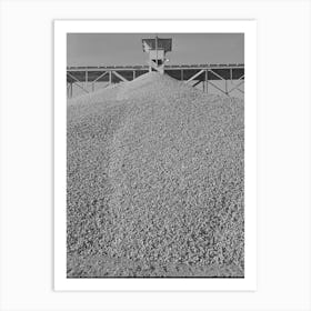 Gravel To Be Used In Construction Of Shasta Dam, Shasta County, California By Russell Lee Art Print