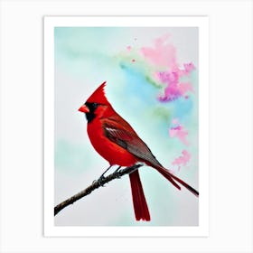 Northern Cardinal 2 Watercolour Bird Art Print