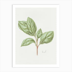 Basil Herb Sprig - Textured Botanical Wall Print Set | Floral Collection Art Print Art Print