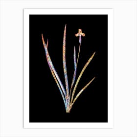 Stained Glass Iris Martinicensis Mosaic Botanical Illustration on Black n.0339 Art Print