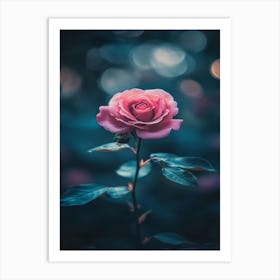 Pink Rose 76 Art Print