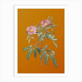 Vintage Pink Swamp Roses Botanical on Sunset Orange n.0349 Art Print