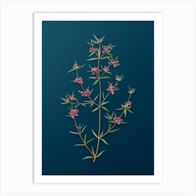 Vintage Heath Mirbelia Branch Botanical Art on Teal Blue n.0467 Art Print