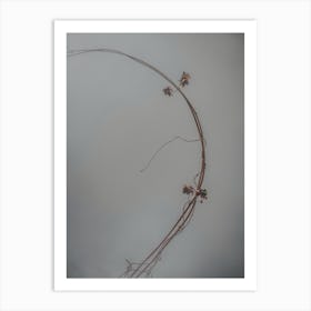 Half A Ring Of Vines In The Fog Against The Gray Sky. Minimalism Art Print