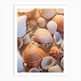 Sea Shells 1 Art Print