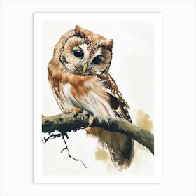 Northern Saw Whet Owl Marker Drawing 2 Art Print