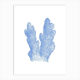 Blue Coral 2 Art Print