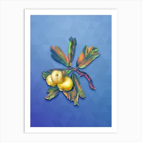 Vintage Hawthorne Botanical Art on Blue Perennial n.0905 Art Print
