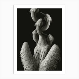 Pelican Art Print