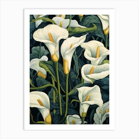 White Calla Lilies Art Print