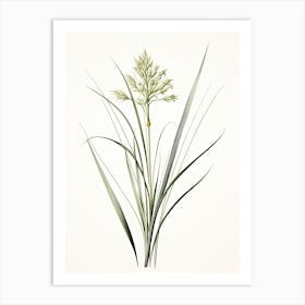 Lemongrass Vintage Botanical Herbs 2 Art Print