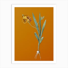 Vintage Ixia Miniata Botanical on Sunset Orange n.0254 Art Print