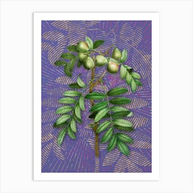 Vintage Service Tree Botanical Illustration on Veri Peri n.0482 Art Print