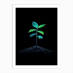 Tree Growing In The Dark Art Print