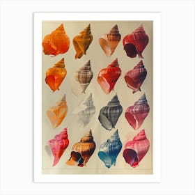 Seashells Art Print