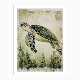 Vintage Sea Turtle In The Seaweed 3 Art Print