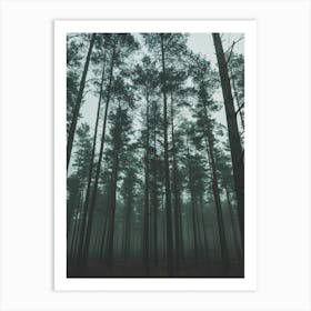 Foggy Forest 2 Art Print