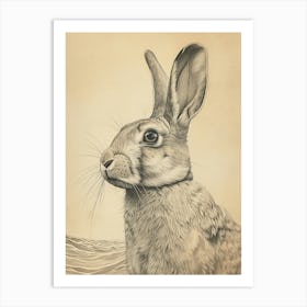 Flemish Giant Rabbit Drawing 2 Art Print