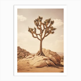  Photograph Of A Joshua Tree In Rocky Landscape 2 Art Print