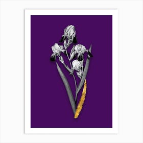 Vintage Elder Scented Iris Black and White Gold Leaf Floral Art on Deep Violet n.0965 Art Print