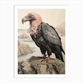 Vintage Bird Drawing California Condor 2 Art Print