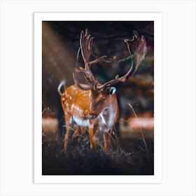 Wild Deer In Enchanted Forest Art Print