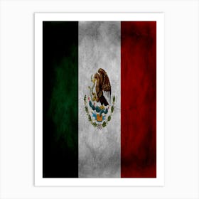 Mexico Flag Texture Art Print