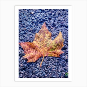 Autumn Leaf 20180809 14ppub Art Print