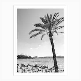 Palm tree Black And White Photo Art Print