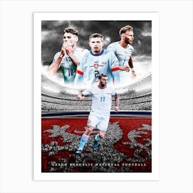 Czech Republic Football Poster Art Print