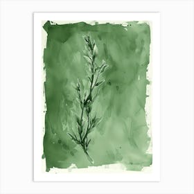 Green Ink Painting Of A Black Stem Spleenwort 1 Art Print