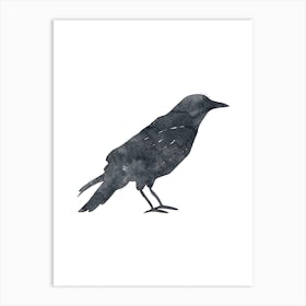 Inkpress Crow Art Print