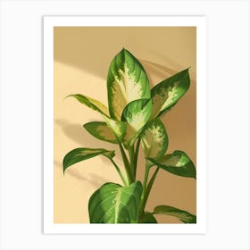 Dieffenbachia Plant Minimalist Illustration 5 Art Print
